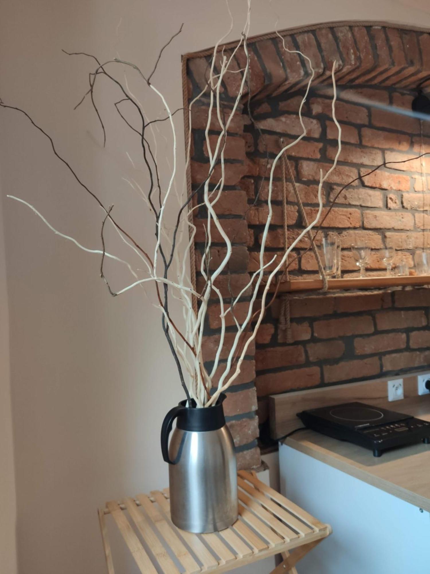 Apartamenty I Pokoje Goscinne "Wacus" Srebrna Góra Eksteriør bilde
